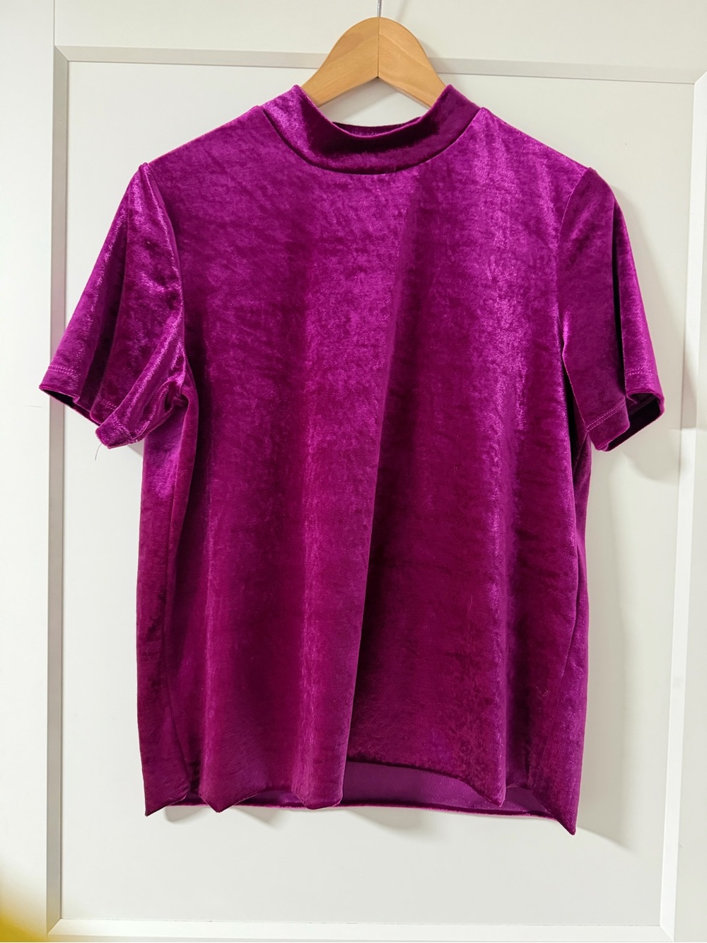 Zara Velvet Mock Neck Short Sleeve Top - Magenta